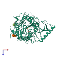 PDB entry 1n2k coloured by chain, top view.