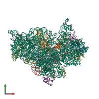 PDB entry 1n33 coloured by chain, front view.