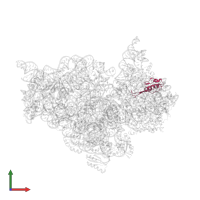 Small ribosomal subunit protein uS10 in PDB entry 1n33, assembly 1, front view.