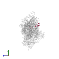 Small ribosomal subunit protein uS10 in PDB entry 1n33, assembly 1, side view.