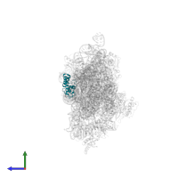 Small ribosomal subunit protein uS13 in PDB entry 1n33, assembly 1, side view.