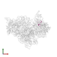 Small ribosomal subunit protein uS14 in PDB entry 1n33, assembly 1, front view.