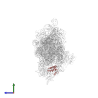 Small ribosomal subunit protein uS15 in PDB entry 1n33, assembly 1, side view.