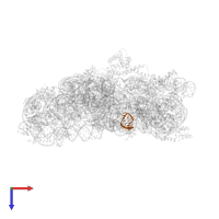 ANTICODON STEM-LOOP OF SER TRANSFER RNA in PDB entry 1n33, assembly 1, top view.