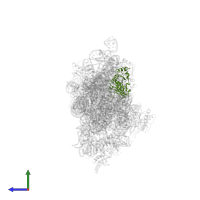Small ribosomal subunit protein uS3 in PDB entry 1n33, assembly 1, side view.