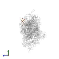 Small ribosomal subunit protein uS19 in PDB entry 1n34, assembly 1, side view.