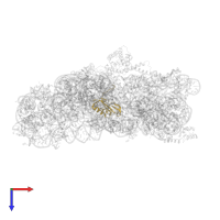 Small ribosomal subunit protein bS6 in PDB entry 1n36, assembly 1, top view.