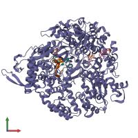 PDB entry 1n38 coloured by chain, front view.