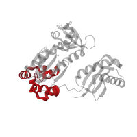 The deposited structure of PDB entry 1n48 contains 1 copy of CATH domain 1.10.150.20 (DNA polymerase; domain 1) in DNA polymerase IV. Showing 1 copy in chain C [auth A].