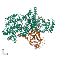 PDB entry 1n52 coloured by chain, front view.