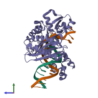 Hetero trimeric assembly 2 of PDB entry 1n56 coloured by chemically distinct molecules, side view.