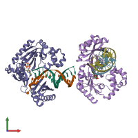 PDB entry 1n56 coloured by chain, front view.