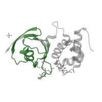 The deposited structure of PDB entry 1n62 contains 2 copies of Pfam domain PF00111 (2Fe-2S iron-sulfur cluster binding domain) in Carbon monoxide dehydrogenase small chain. Showing 1 copy in chain A.