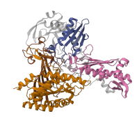 The deposited structure of PDB entry 1n62 contains 8 copies of CATH domain 3.30.365.10 (Aldehyde Oxidoreductase; domain 4) in Carbon monoxide dehydrogenase large chain. Showing 4 copies in chain B.