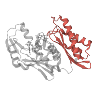 The deposited structure of PDB entry 1n62 contains 2 copies of CATH domain 3.30.390.50 (Enolase-like; domain 1) in Carbon monoxide dehydrogenase medium chain. Showing 1 copy in chain C.