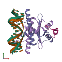 PDB entry 1n6j coloured by chain, ensemble of 2 models, front view.