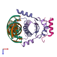 PDB entry 1n6j coloured by chain, ensemble of 2 models, top view.