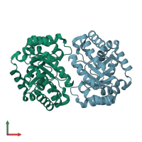 PDB entry 1n7k coloured by chain, front view.