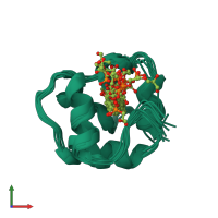 PDB entry 1n89 coloured by chain, ensemble of 9 models, front view.