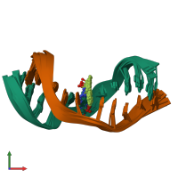 PDB entry 1n8c coloured by chain, ensemble of 11 models, front view.