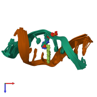 PDB entry 1n8c coloured by chain, ensemble of 11 models, top view.