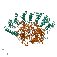 PDB entry 1n95 coloured by chain, front view.