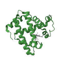 The deposited structure of PDB entry 1n9f contains 1 copy of SCOP domain 46463 (Globins) in Myoglobin. Showing 1 copy in chain A.