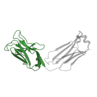 The deposited structure of PDB entry 1nak contains 2 copies of SCOP domain 48727 (V set domains (antibody variable domain-like)) in Fab 83.1 - light chain. Showing 1 copy in chain A [auth L].