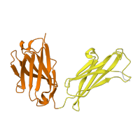 The deposited structure of PDB entry 1nak contains 4 copies of CATH domain 2.60.40.10 (Immunoglobulin-like) in Fab 83.1 - heavy chain. Showing 2 copies in chain B [auth H].