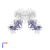 Ig gamma-2A chain C region, membrane-bound form in PDB entry 1ncb, assembly 1, top view.