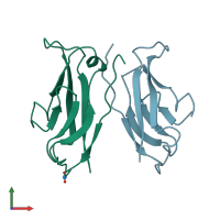 PDB entry 1nci coloured by chain, front view.