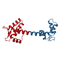 The deposited structure of PDB entry 1ncx contains 2 copies of CATH domain 1.10.238.10 (Recoverin; domain 1) in Troponin C, skeletal muscle. Showing 2 copies in chain A.