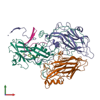 PDB entry 1nd3 coloured by chain, front view.