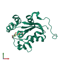 PDB entry 1ndc coloured by chain, front view.