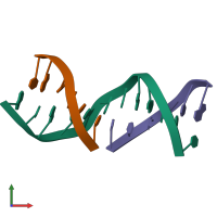 PDB entry 1ndn coloured by chain, front view.