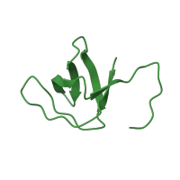 The deposited structure of PDB entry 1neg contains 1 copy of SCOP domain 50045 (SH3-domain) in Spectrin alpha chain, non-erythrocytic 1. Showing 1 copy in chain A.