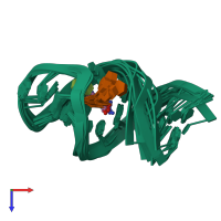 PDB entry 1nem coloured by chain, ensemble of 9 models, top view.