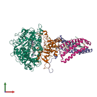 PDB entry 1nen coloured by chain, front view.