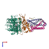 PDB entry 1nen coloured by chain, top view.