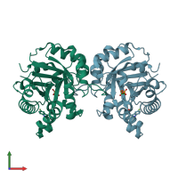 PDB entry 1ney coloured by chain, front view.