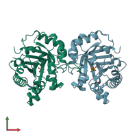 PDB entry 1nf0 coloured by chain, front view.