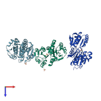 PDB entry 1nf2 coloured by chain, top view.