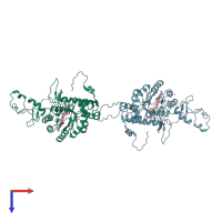 PDB entry 1nf7 coloured by chain, top view.