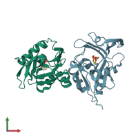 PDB entry 1nfz coloured by chain, front view.