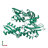 Heat shock cognate 71 kDa protein in PDB entry 1ngc, assembly 1, front view.