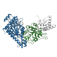 The deposited structure of PDB entry 1ngs contains 4 copies of CATH domain 3.40.50.970 (Rossmann fold) in Transketolase 1. Showing 2 copies in chain A.