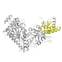 The deposited structure of PDB entry 1ngs contains 2 copies of Pfam domain PF02780 (Transketolase, C-terminal domain) in Transketolase 1. Showing 1 copy in chain A.