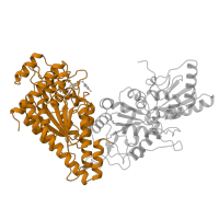 The deposited structure of PDB entry 1ngs contains 2 copies of SCOP domain 88760 (TK-like PP module) in Transketolase 1. Showing 1 copy in chain A.