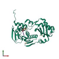 PDB entry 1nhi coloured by chain, front view.