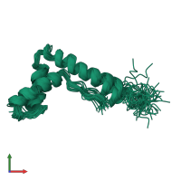 PDB entry 1nhn coloured by chain, ensemble of 41 models, front view.